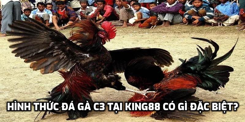 Hình thức đá gà c3 tại King88 có gì đặc biệt?