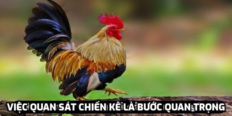 Chốt cược nhanh chóng để tăng cơ hội thắng