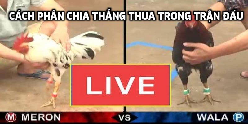 Cách phân chia thắng thua trong trận đấu