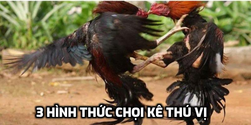 3 hình thức chọi kê thú vị