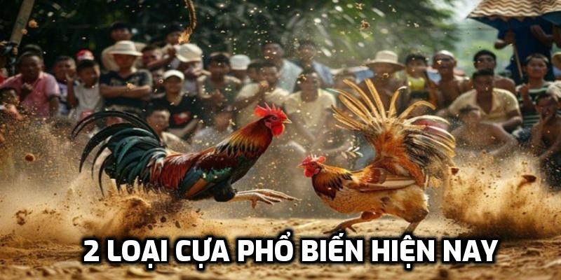 2 loại cựa phổ biến hiện nay