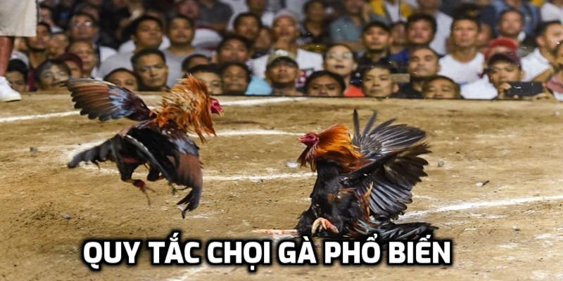 Quy tắc chọi gà phổ biến