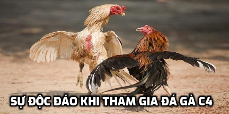 Sự độc đáo khi tham gia đá gà C4