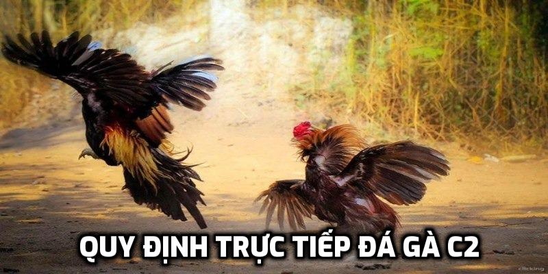 Quy định trực tiếp đá gà C2