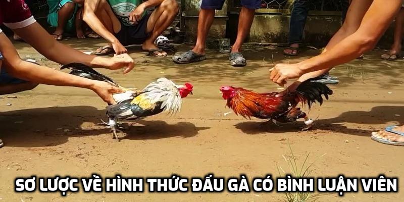 Sơ lược về hình thức đấu gà có bình luận viên